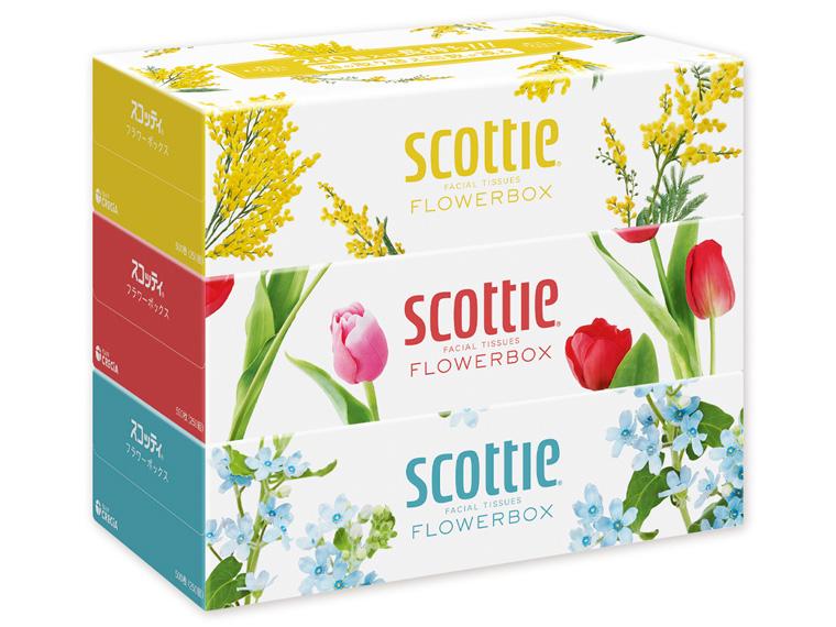 スコッティ ティシュー フラワーボックス 250W×3 