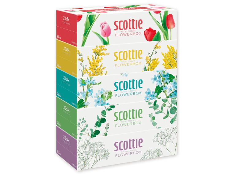 スコッティ ティシュー フラワーボックス 250W×5 