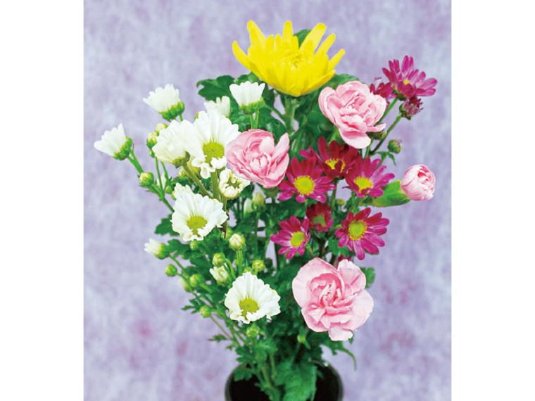 お供え和花  4本 