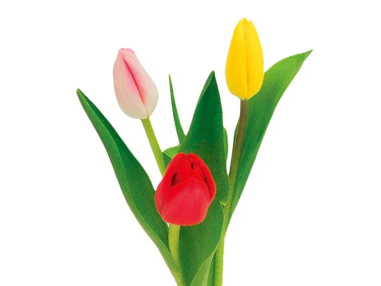 季節の花束(チューリップ)  3本