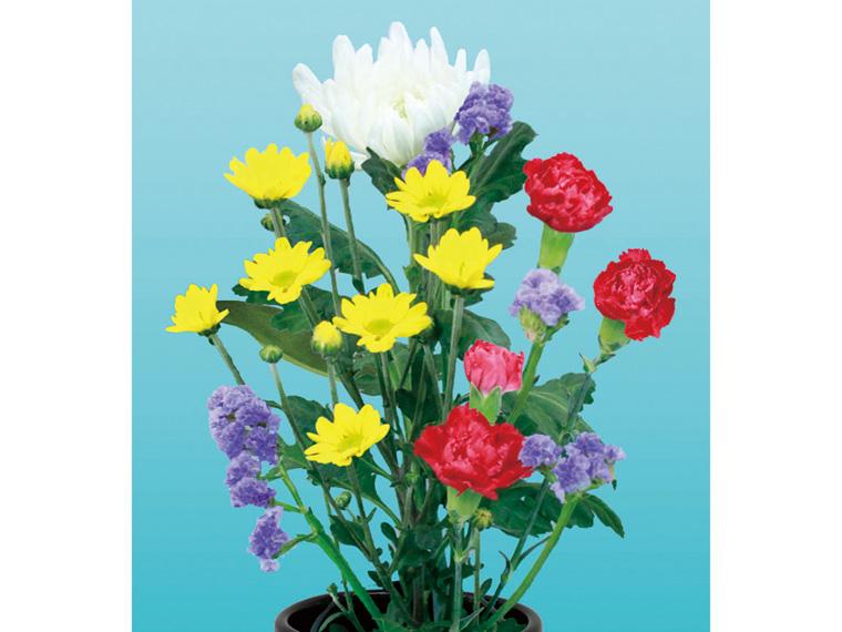 お供え和花  4本