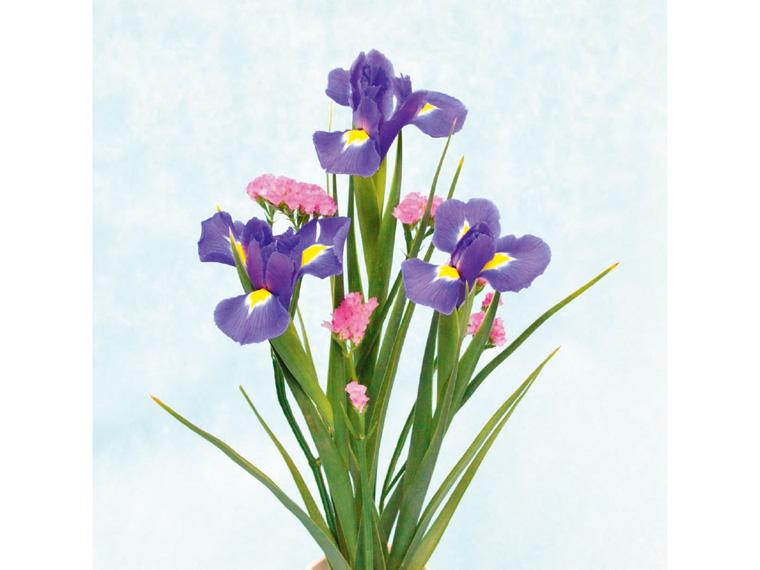 季節の花束(アイリス)  4本