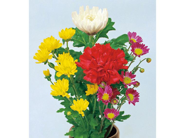 お供え和花  4本