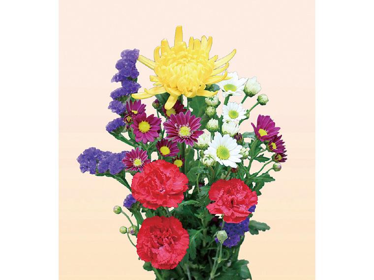 お彼岸用和花  5本