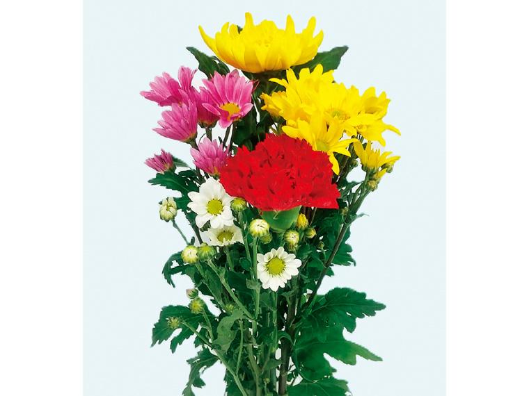 お供え和花  5本 